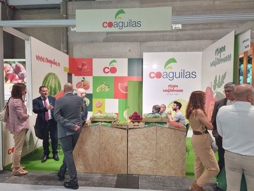 Coáguilas.