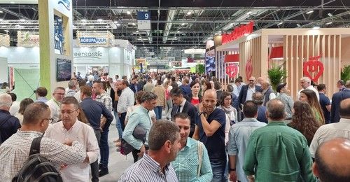 Afluencia de público del hall 9