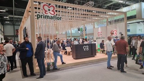 Expositor de Primaflor
