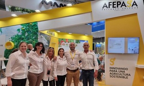 Equipo de AFEPASA.