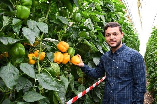 José Vázquez, de Syngenta, con la variedad Kioto.