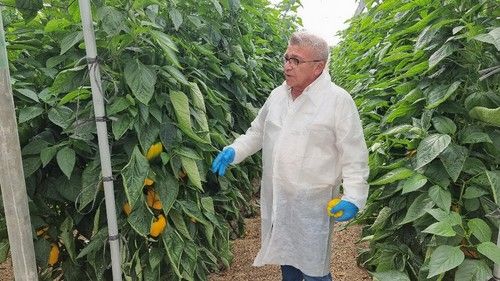 Bonifacio Sánchez Romero, coordinador Regional de Ventas en HM Clause Ibérica, durante las jornadas en Níjar