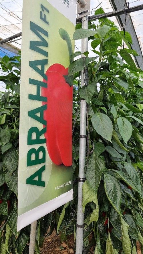 Un clásico como Abraham también estaba en las jornadas de puertas abiertas