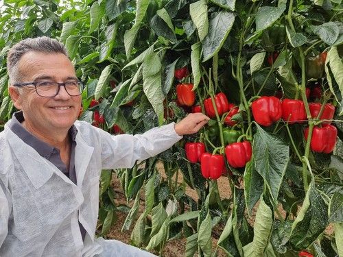 Javier Achón en un líneo de la variedad HMC 57288