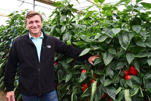 David Blázquez, de Syngenta, en uno de los líneos destinados a Kiruna,