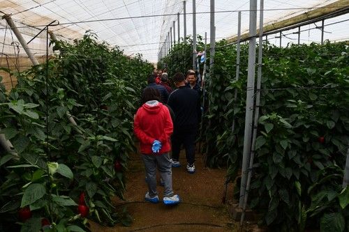 Alta asistencia a la convocatoria de Syngenta.