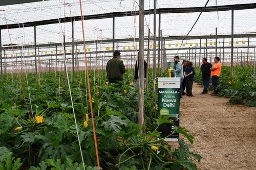 Las jornadas se celebraron en una finca de Las Norias.