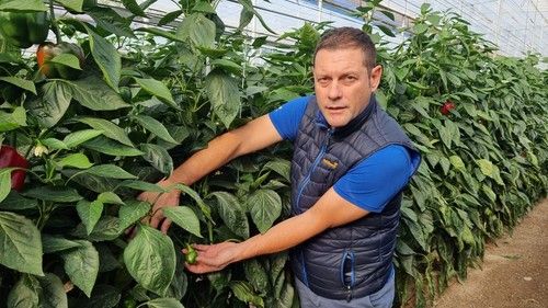 Paco Marín, Account Manager de BASF, muestra el rebrote lateral de Krakos
