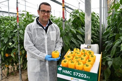 Las novedades levantaron muchas expectación.