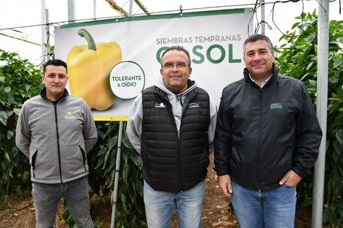 Las visitas no cesaron