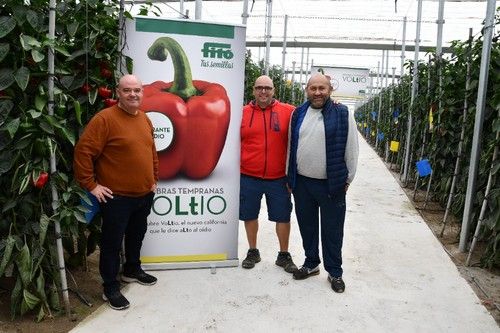 En la finca donde se mostró Voltio.