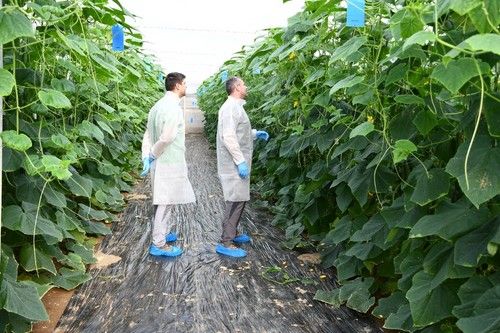 Observando las plantas en la jornada de campo