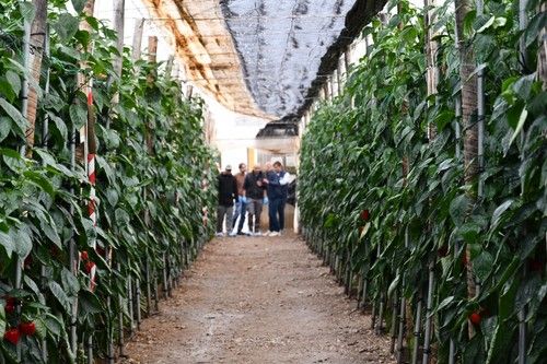 Las jornadas se celebran el miércoles 14 y jueves 15
