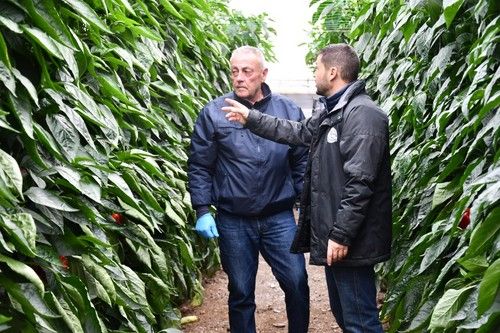 Explicaciones a los agricultores asistentes.