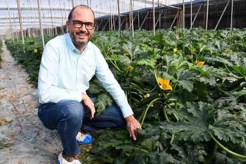 Antonio Gutiérrez, delegado de ventas y especialista de calabacín.