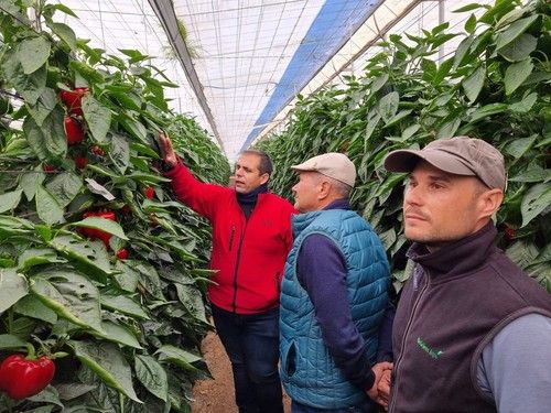José Ramón Martínez, de BASF, explica la variedad a Esteban Martínez, padre e hijo.
