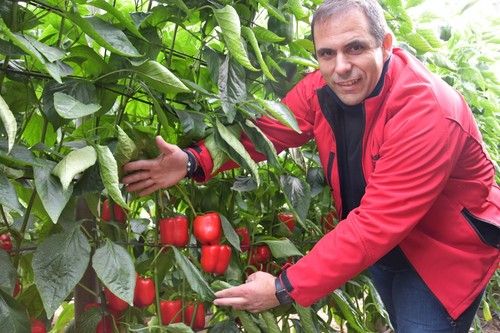 José Ramón Martínez Arnau muestra la calidad de fruto de esta innovación.