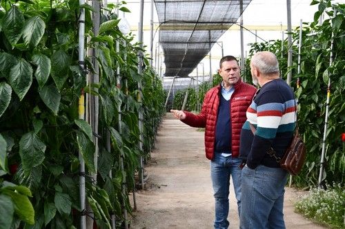 Francisco Marín, de BASF, habla de las cualidades de Arkos.