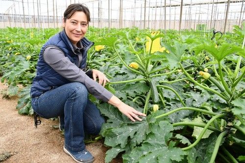 Beatriz Palmero, técnico de Desarrollo de calabacín de HM.CLAUSE.