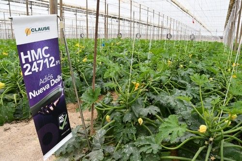 HM.CLAUSE presentó novedades contra el virus de Nueva Delhi.