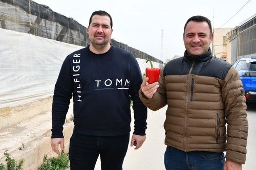 El fruto de Bikos no deja indifernte.
