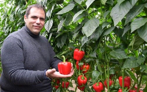 Bikos es para trasplantes del 10 de agosto en adelante