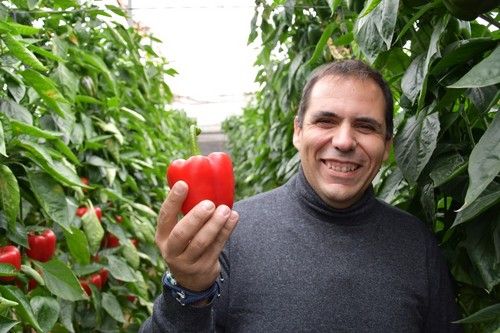 José Ramón Martínez Arnau, especialista de pimiento de BASF.