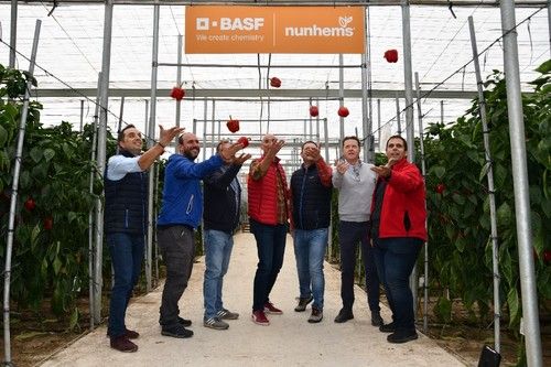 Equipo de pimiento de BASF lanzando unas piezas de Bikos al aire.