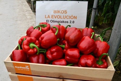 Bikos llega al mercado con el firme propósito de revolucionar su ciclo.