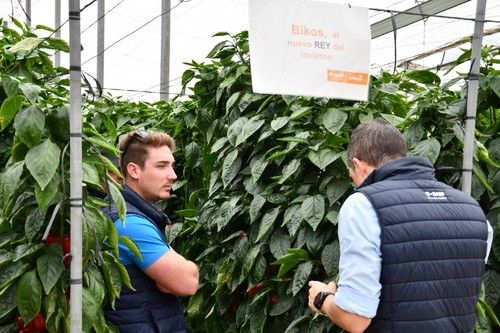 Personal de BASF atendiendo a agricultores asistentes.