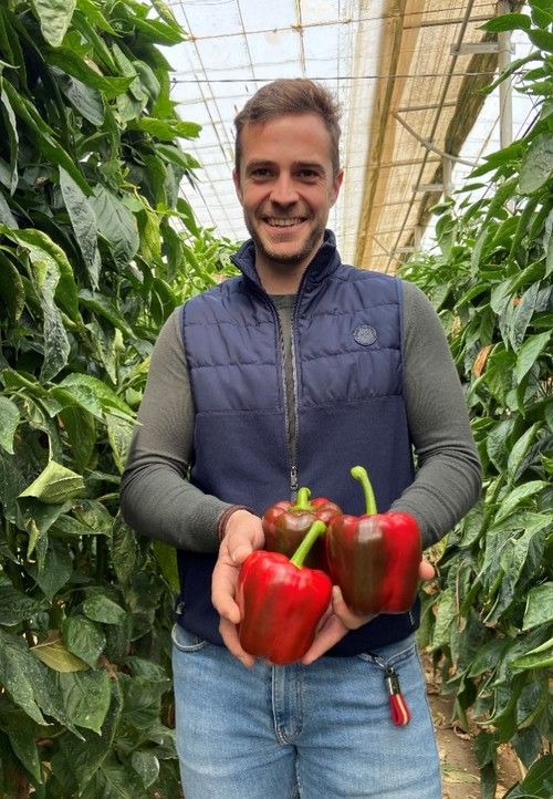 Juan José García, comercial de Rijk Zwaan en la zona de Poniente