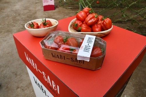 Wabi-Sabi rompe con la concepción de que la calildad de la fruta va ligada a su perfección estética.