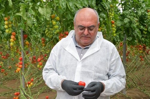 Viendo un fruto de Wabi-Sabi.
