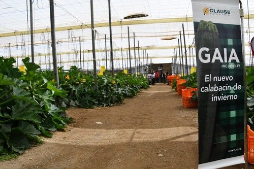 La finca de la jornada de campo se ubicaba en El Ejido