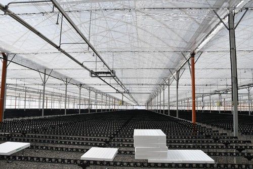 El semillero cuenta con una superficie total de 30.000 metros
