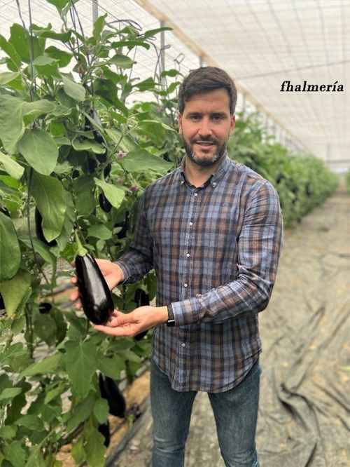 Pepe Jiménez, especialista de berenjena de Rijk Zwaan