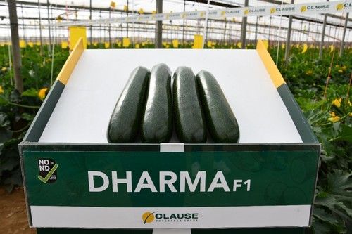 Fruto de calidad de Dharma