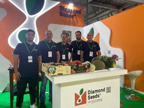 Equipo de Diamond Seeds