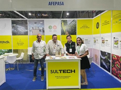 El equipo de AFEAPSA, Juan Carlos Conesa, Francisco Hernandez, Francisco Escudero y Cristina Comas