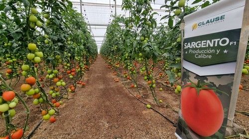 Producción en ciclos cortos.