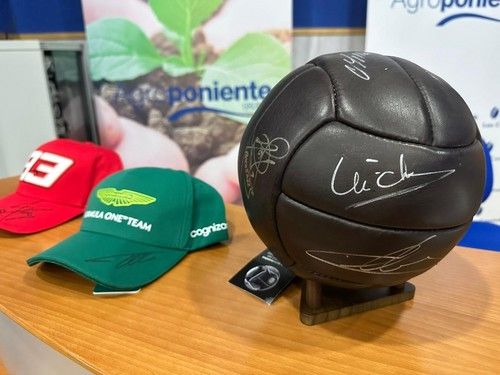 Balón firmado por grandes iconos del deporte como Iker Casillas.