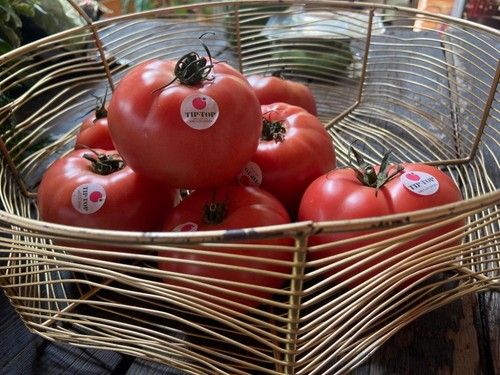 Tomate ensalada Tip-Top