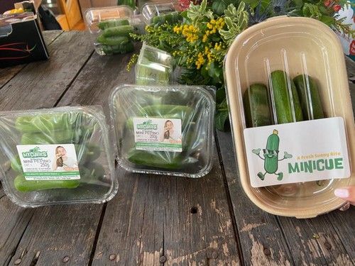 Mycubies y Minicue, el concepto de pepino mini
