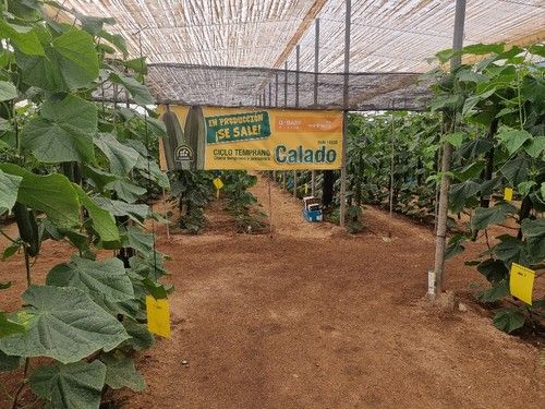 La jornada de campo se celebró en San Agustín (El Ejido).