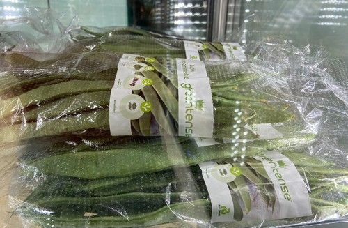 La judía sin hebras, Greentense