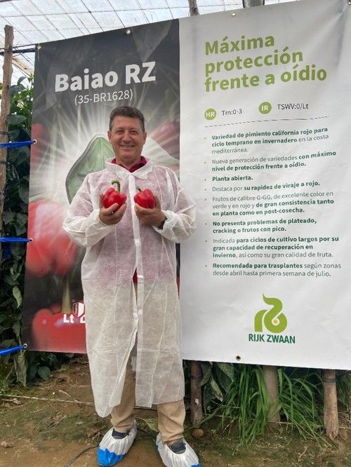 José Luis Ruipérez, especialista de pimiento de Rijk Zwaan