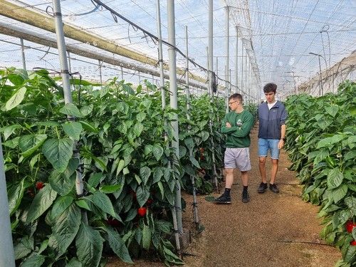 Las novedades de Syngenta han despertado mucha espectación.