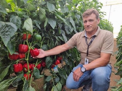 David Blánzquez, de Syngenta, en un líneo de Norris.