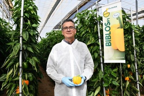 Javier Achón muestra Biblos, la novedad de HM.CLAUSE para plantaciones tardías.