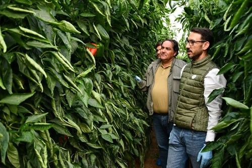 David González explica la variedad a los asistentes.